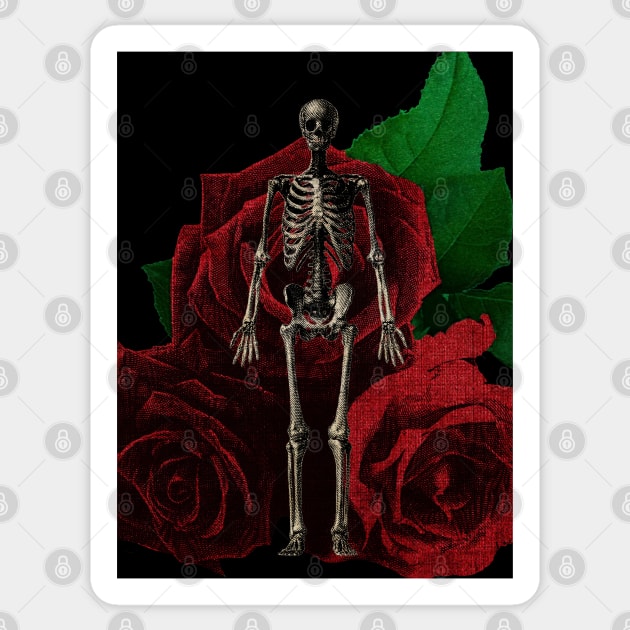 Human anatomy and roses: skeleton Sticker by kourai